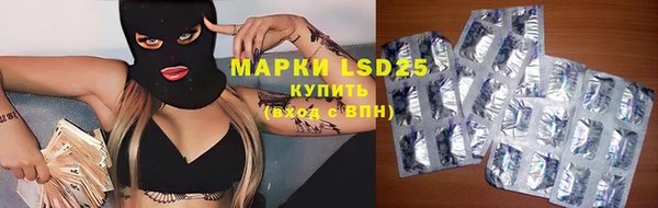 PSILOCYBIN Алзамай