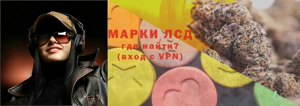 индика Алексин