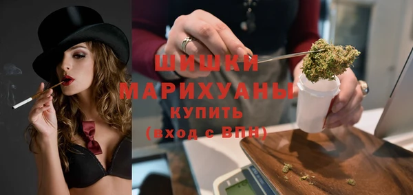 PSILOCYBIN Алзамай