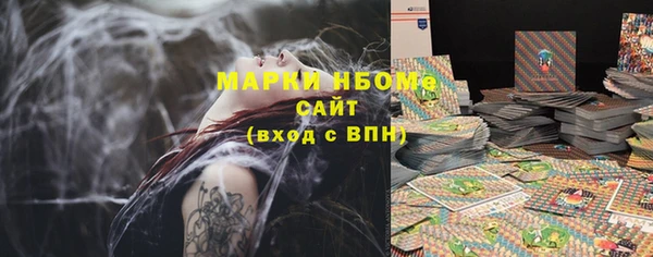 PSILOCYBIN Алзамай