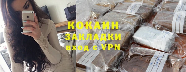 индика Алексин