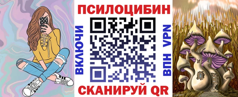 Псилоцибиновые грибы Cubensis  Купить где  Брянск 
